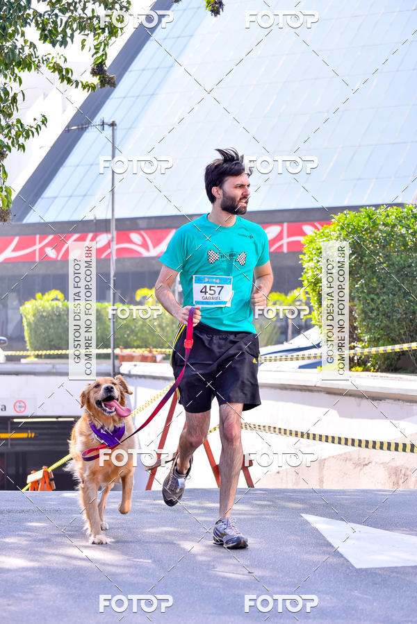 Buy your photos of the event2 Pet Run Shopping Eldorado  on Fotop