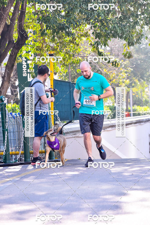 Buy your photos of the event2 Pet Run Shopping Eldorado  on Fotop