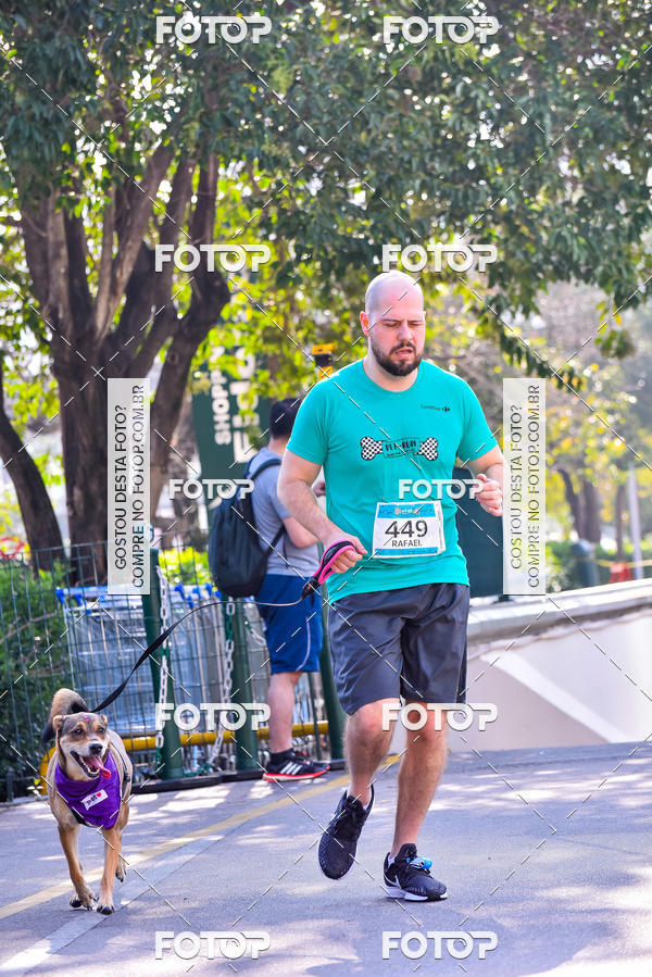 Buy your photos of the event2 Pet Run Shopping Eldorado  on Fotop