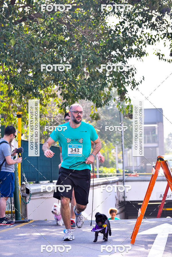 Buy your photos of the event2 Pet Run Shopping Eldorado  on Fotop