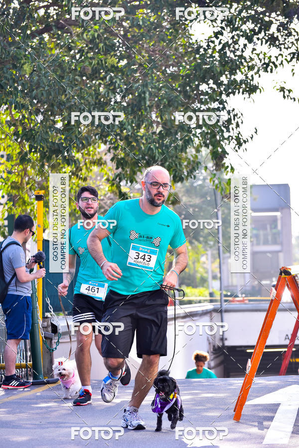 Buy your photos of the event2 Pet Run Shopping Eldorado  on Fotop