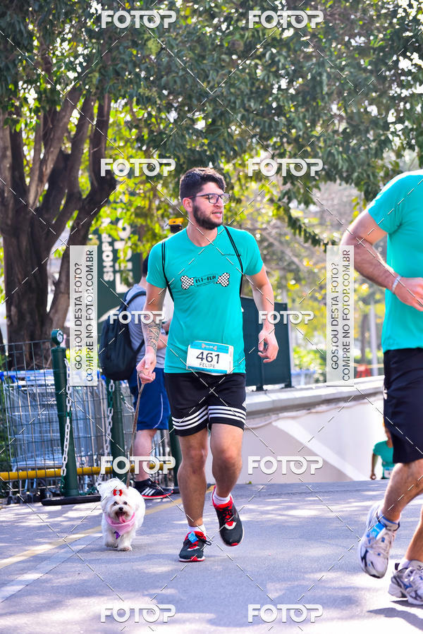 Buy your photos of the event2 Pet Run Shopping Eldorado  on Fotop