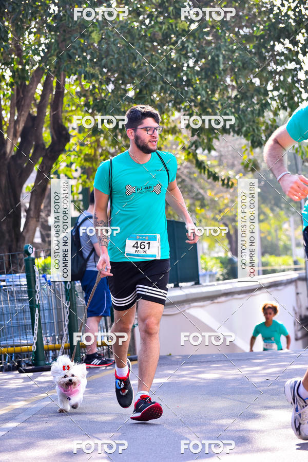 Buy your photos of the event2 Pet Run Shopping Eldorado  on Fotop