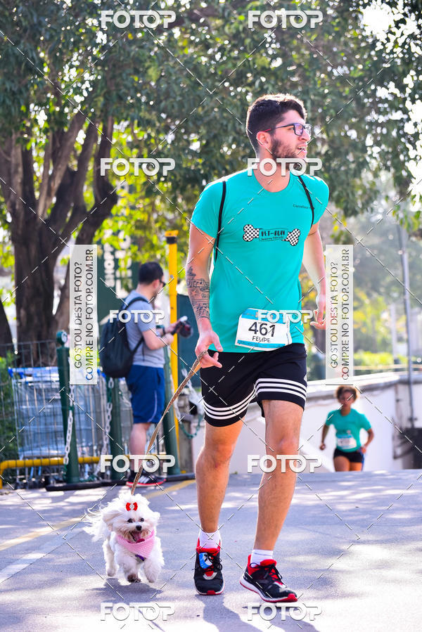 Buy your photos of the event2 Pet Run Shopping Eldorado  on Fotop