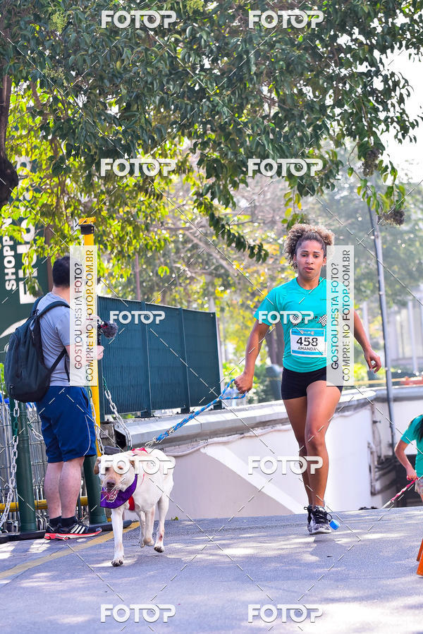 Buy your photos of the event2 Pet Run Shopping Eldorado  on Fotop