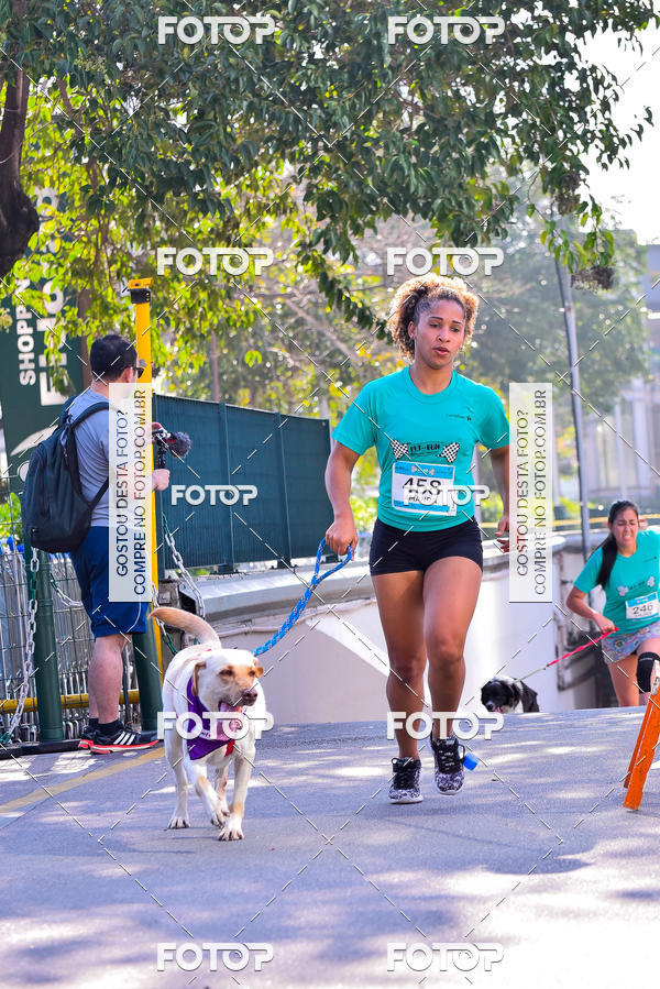 Buy your photos of the event2 Pet Run Shopping Eldorado  on Fotop