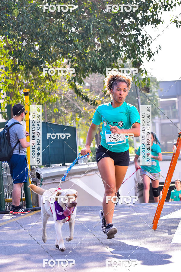 Buy your photos of the event2 Pet Run Shopping Eldorado  on Fotop