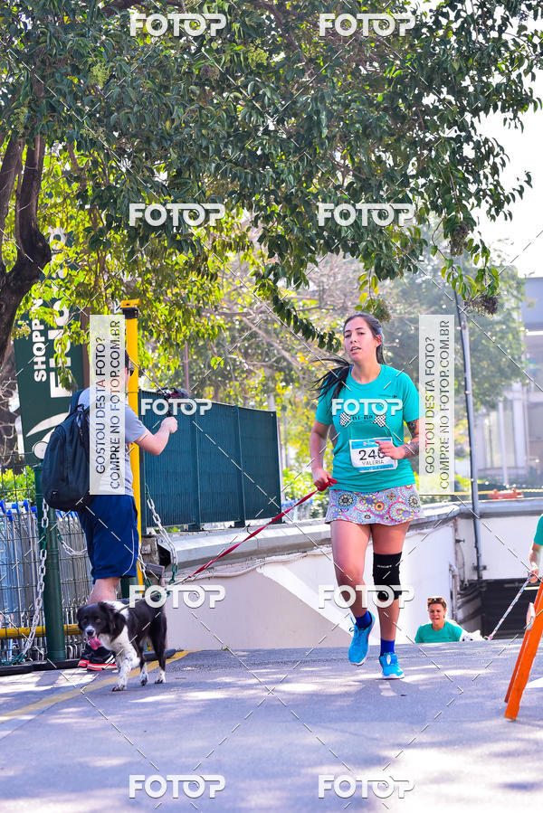 Buy your photos of the event2 Pet Run Shopping Eldorado  on Fotop