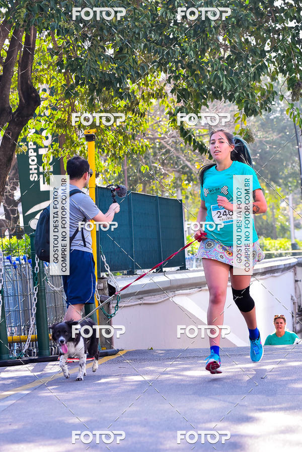 Buy your photos of the event2 Pet Run Shopping Eldorado  on Fotop