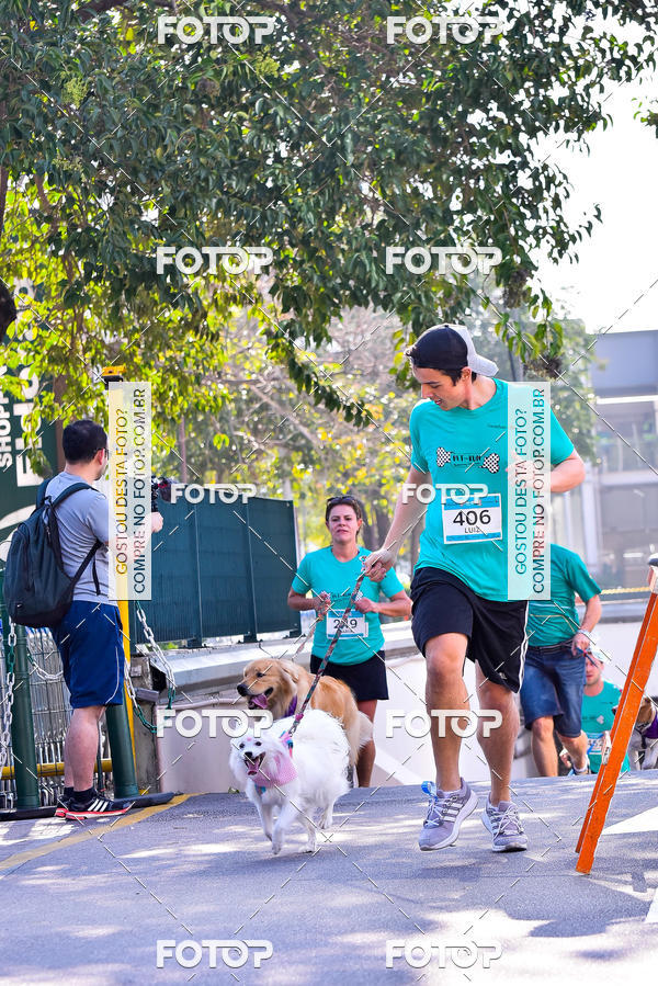 Buy your photos of the event2 Pet Run Shopping Eldorado  on Fotop
