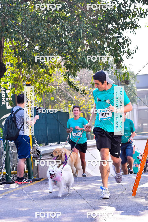 Buy your photos of the event2 Pet Run Shopping Eldorado  on Fotop