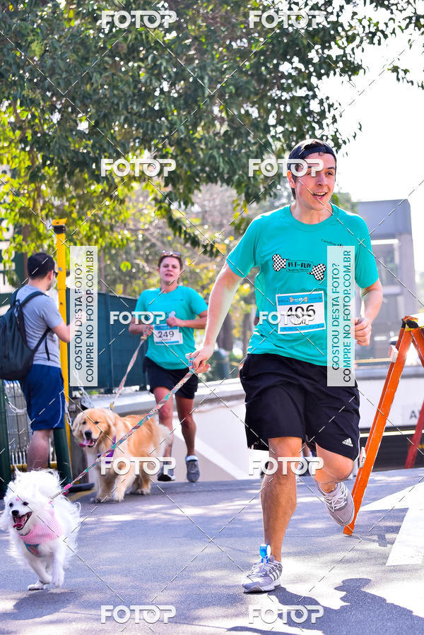 Buy your photos of the event2 Pet Run Shopping Eldorado  on Fotop