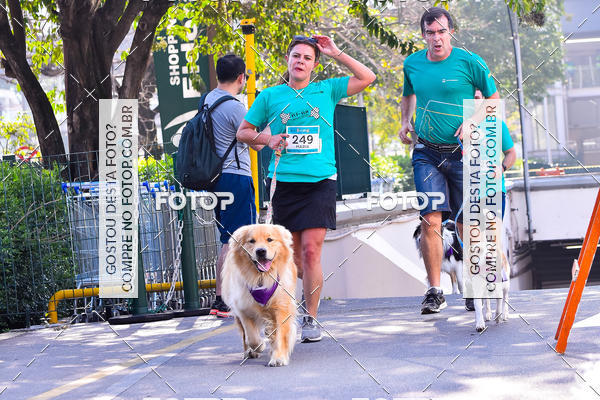 Buy your photos of the event2 Pet Run Shopping Eldorado  on Fotop