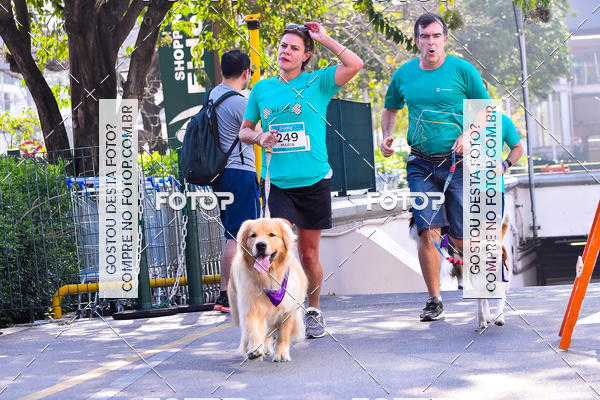 Buy your photos of the event2 Pet Run Shopping Eldorado  on Fotop