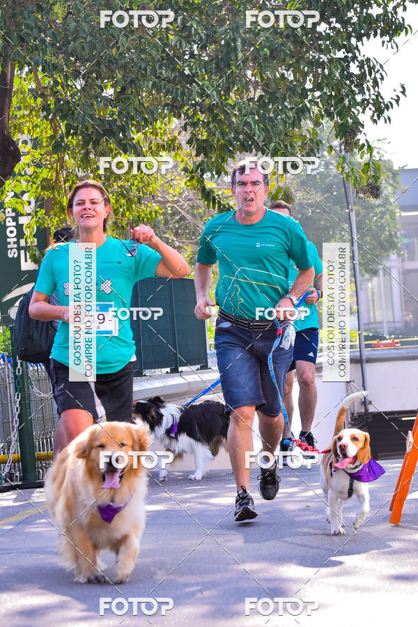 Buy your photos of the event2 Pet Run Shopping Eldorado  on Fotop