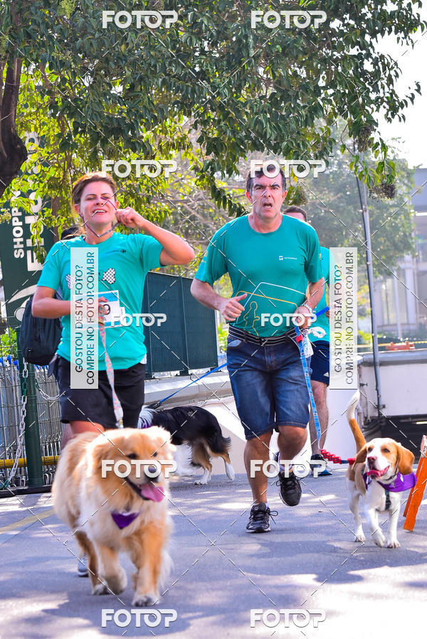 Buy your photos of the event2 Pet Run Shopping Eldorado  on Fotop