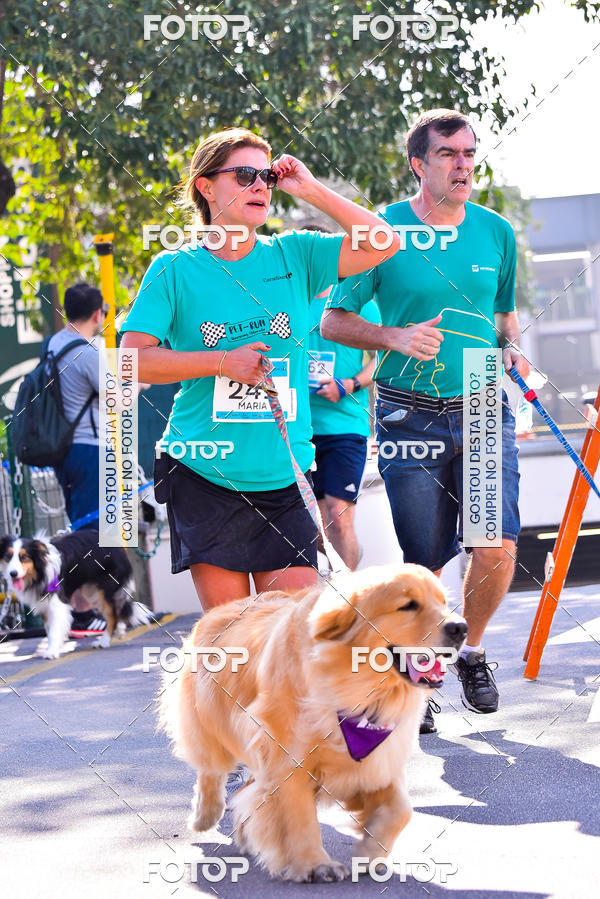 Buy your photos of the event2 Pet Run Shopping Eldorado  on Fotop