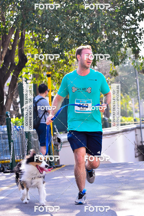 Buy your photos of the event2 Pet Run Shopping Eldorado  on Fotop
