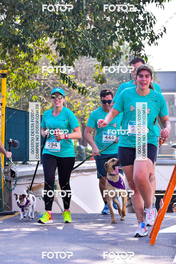 Buy your photos of the event2 Pet Run Shopping Eldorado  on Fotop