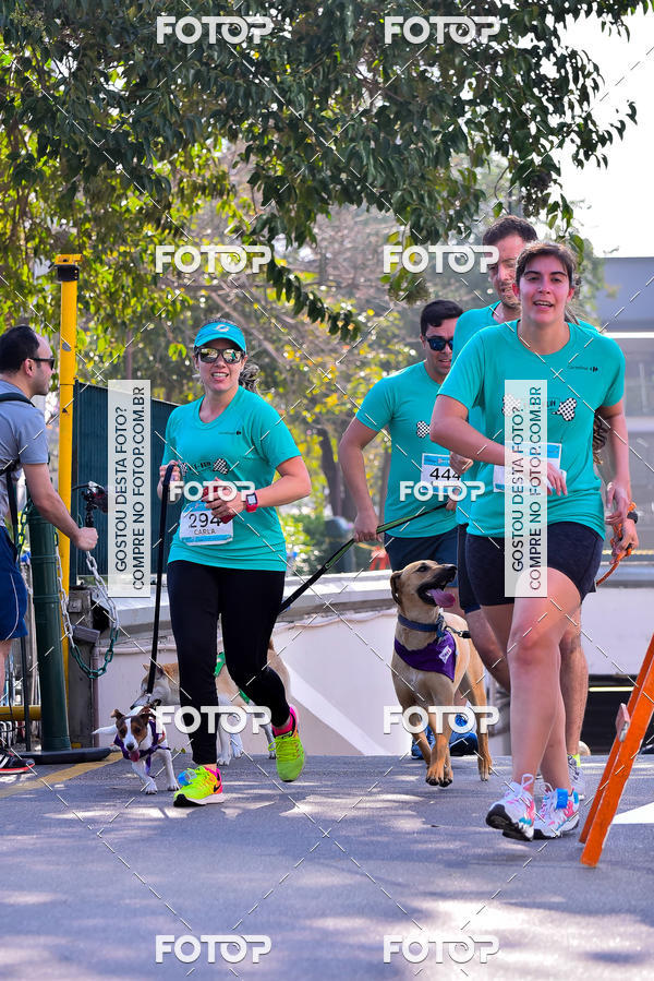 Buy your photos of the event2 Pet Run Shopping Eldorado  on Fotop