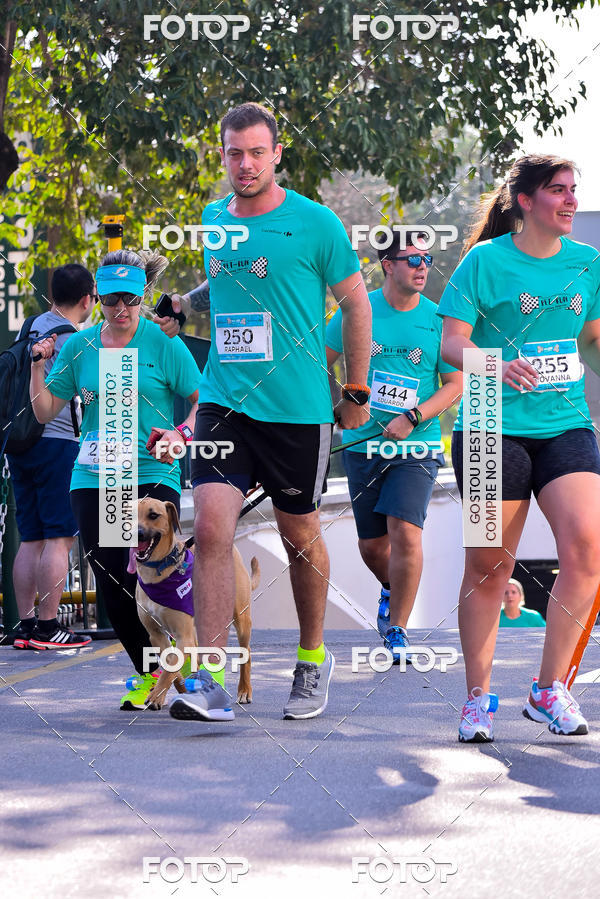 Buy your photos of the event2 Pet Run Shopping Eldorado  on Fotop