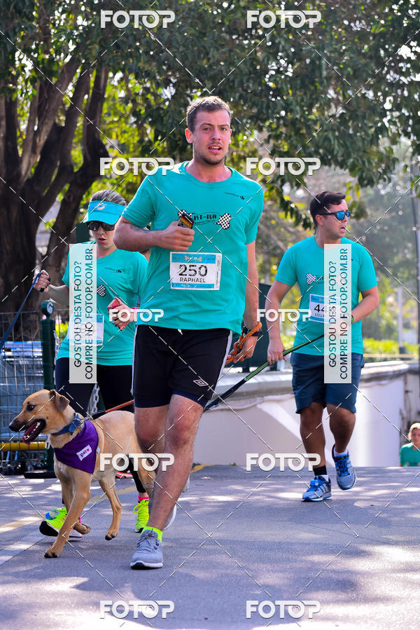 Buy your photos of the event2 Pet Run Shopping Eldorado  on Fotop