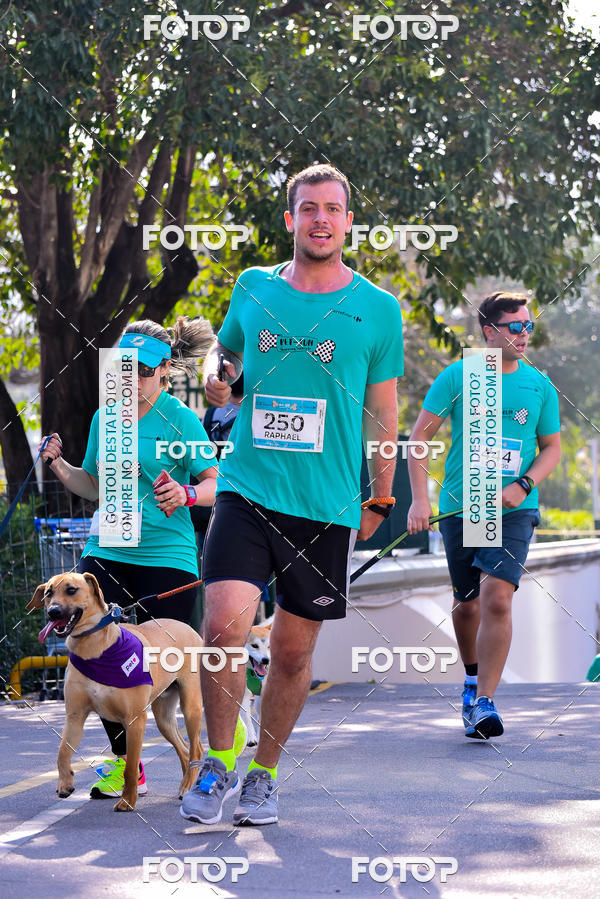 Buy your photos of the event2 Pet Run Shopping Eldorado  on Fotop