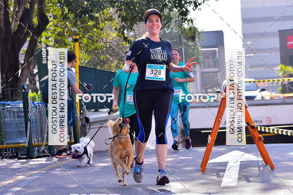 Buy your photos of the event2 Pet Run Shopping Eldorado  on Fotop