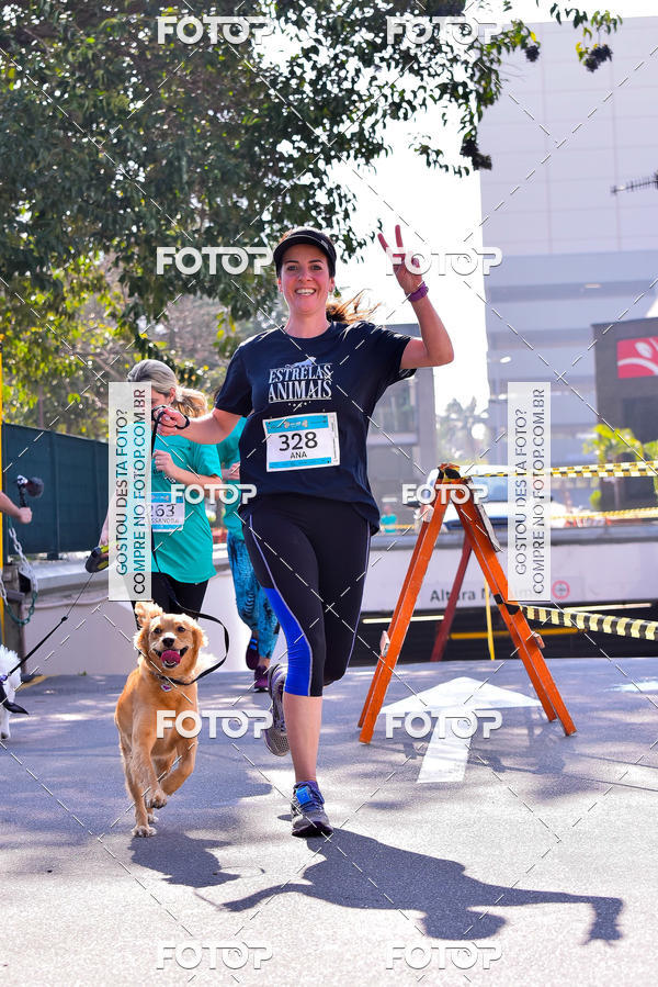 Buy your photos of the event2 Pet Run Shopping Eldorado  on Fotop