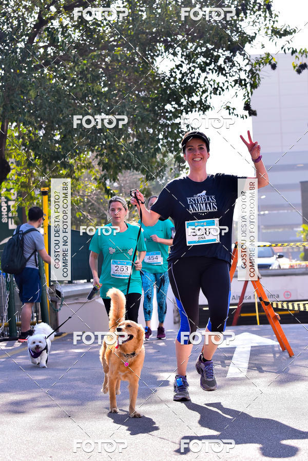 Buy your photos of the event2 Pet Run Shopping Eldorado  on Fotop