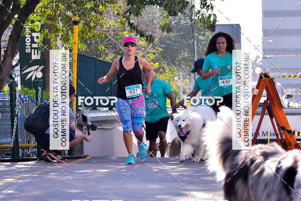 Buy your photos of the event2 Pet Run Shopping Eldorado  on Fotop