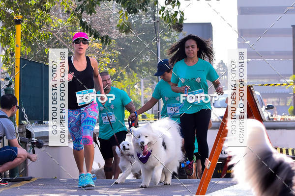 Buy your photos of the event2 Pet Run Shopping Eldorado  on Fotop