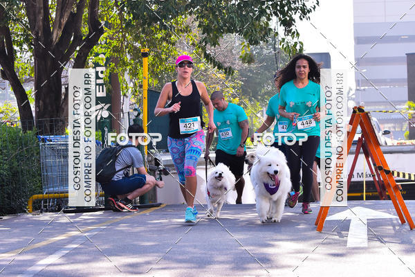 Buy your photos of the event2 Pet Run Shopping Eldorado  on Fotop
