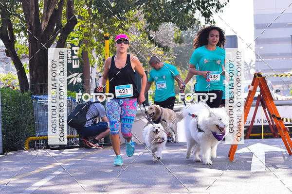 Buy your photos of the event2 Pet Run Shopping Eldorado  on Fotop