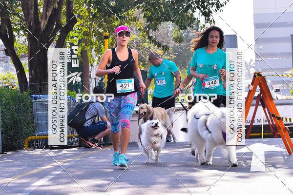 Buy your photos of the event2 Pet Run Shopping Eldorado  on Fotop