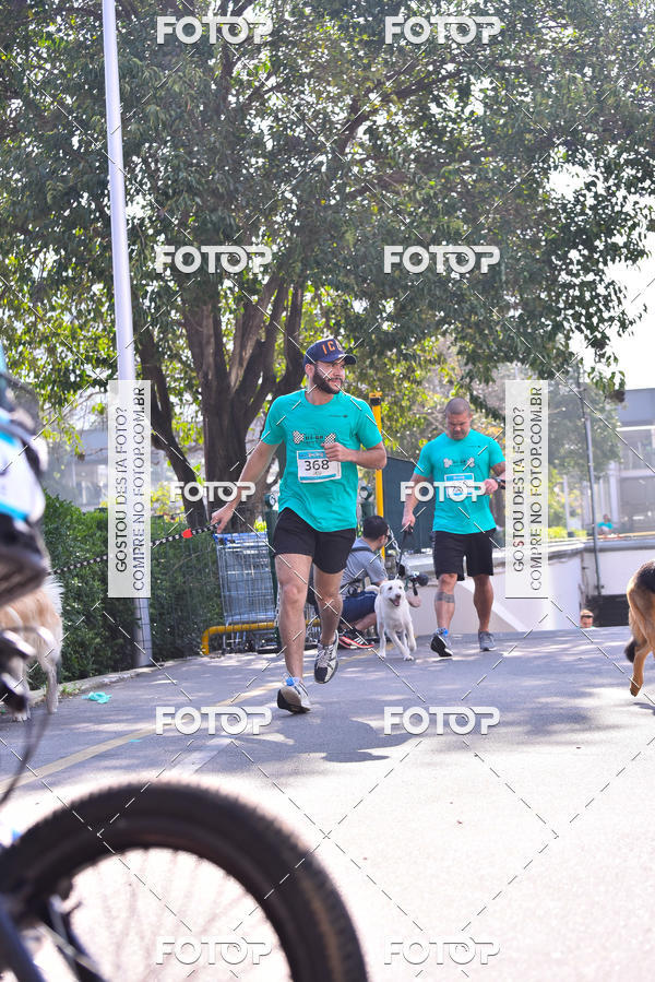 Buy your photos of the event2 Pet Run Shopping Eldorado  on Fotop
