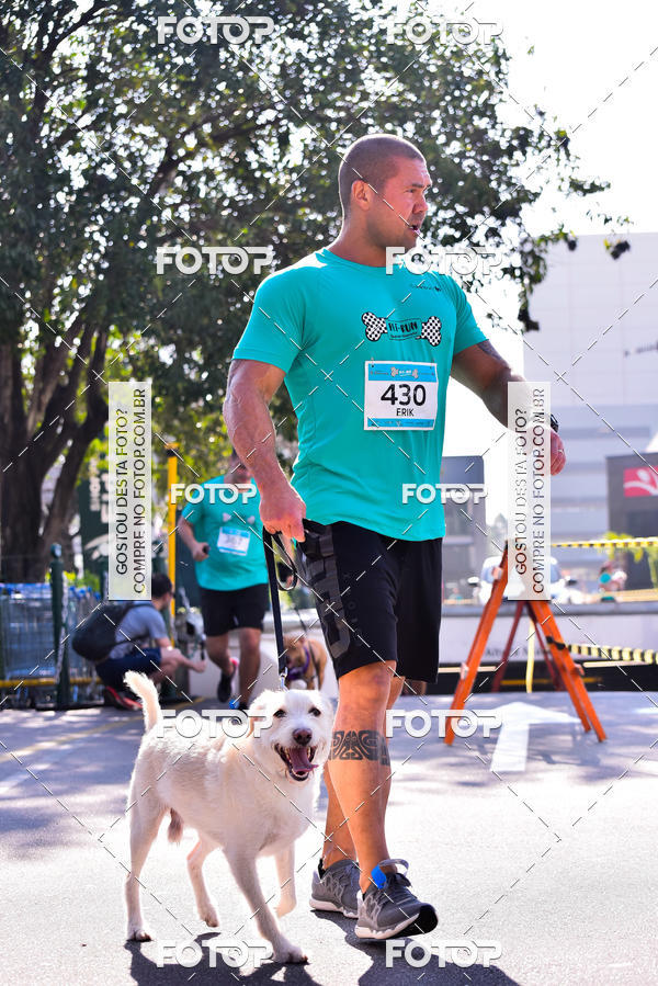 Buy your photos of the event2 Pet Run Shopping Eldorado  on Fotop
