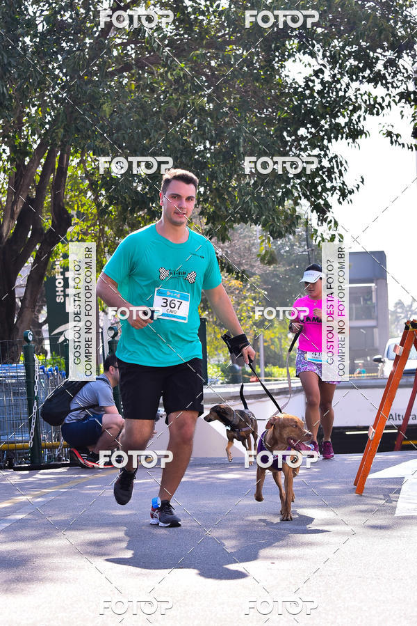 Buy your photos of the event2 Pet Run Shopping Eldorado  on Fotop