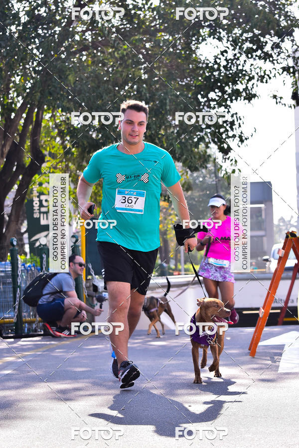 Buy your photos of the event2 Pet Run Shopping Eldorado  on Fotop