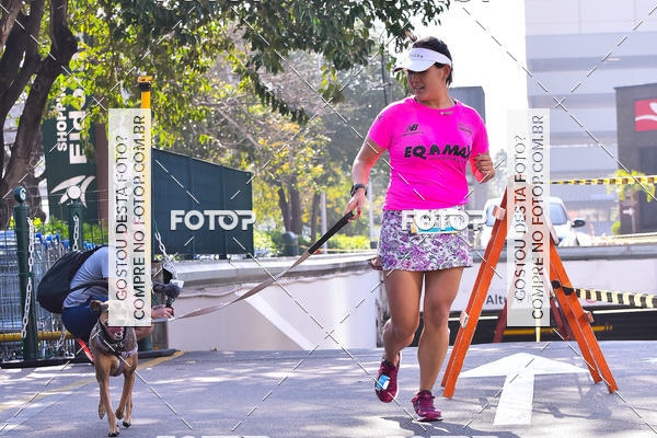 Buy your photos of the event2 Pet Run Shopping Eldorado  on Fotop