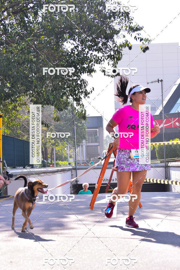 Buy your photos of the event2 Pet Run Shopping Eldorado  on Fotop