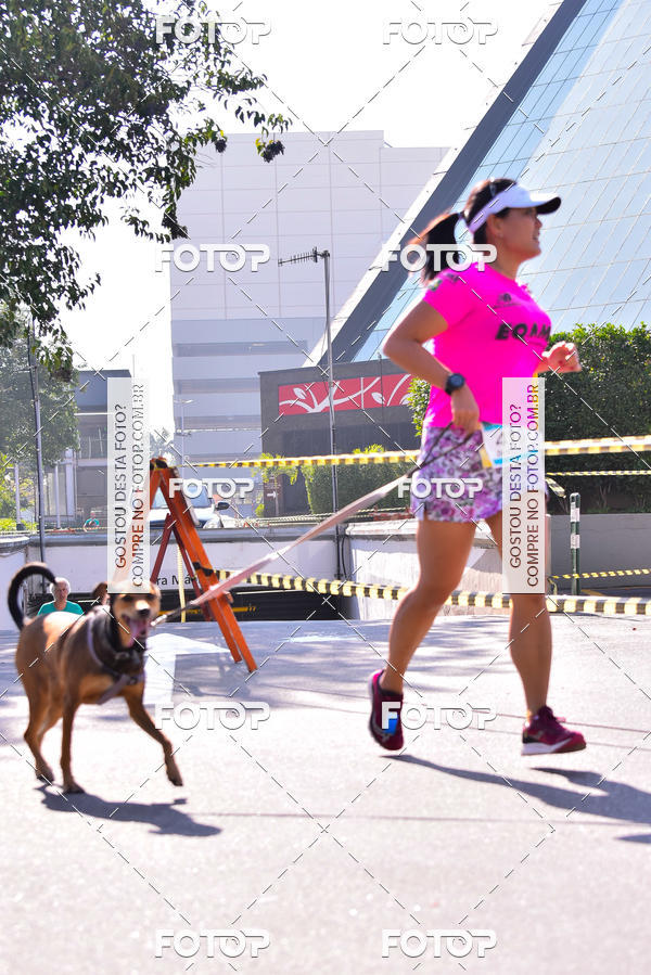 Buy your photos of the event2 Pet Run Shopping Eldorado  on Fotop