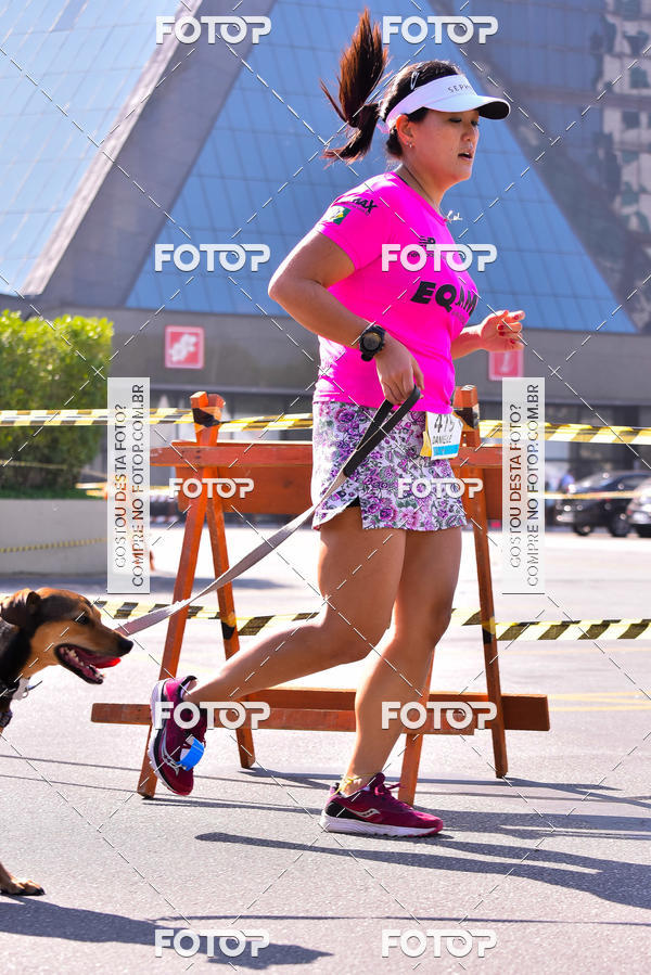 Buy your photos of the event2 Pet Run Shopping Eldorado  on Fotop