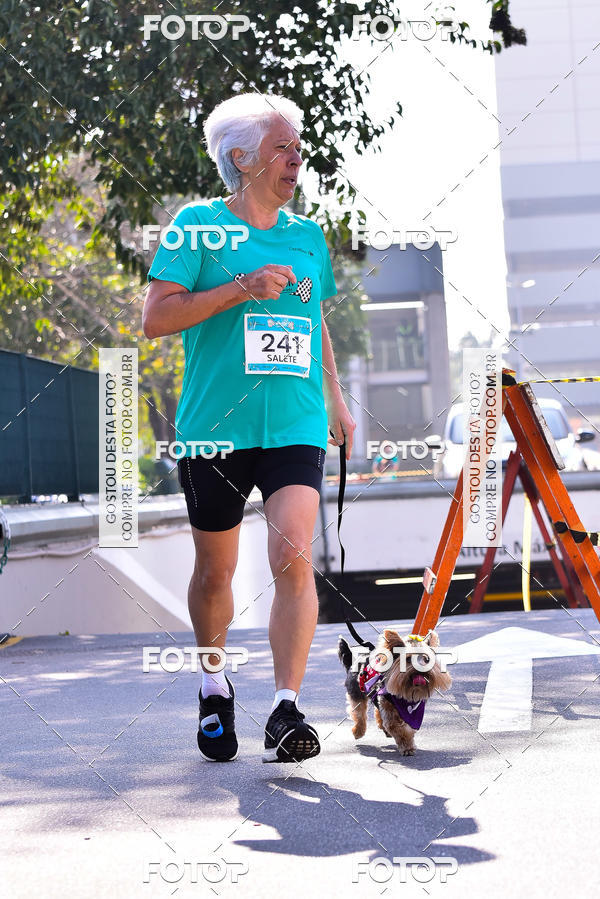 Buy your photos of the event2 Pet Run Shopping Eldorado  on Fotop