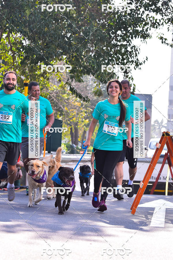 Buy your photos of the event2 Pet Run Shopping Eldorado  on Fotop