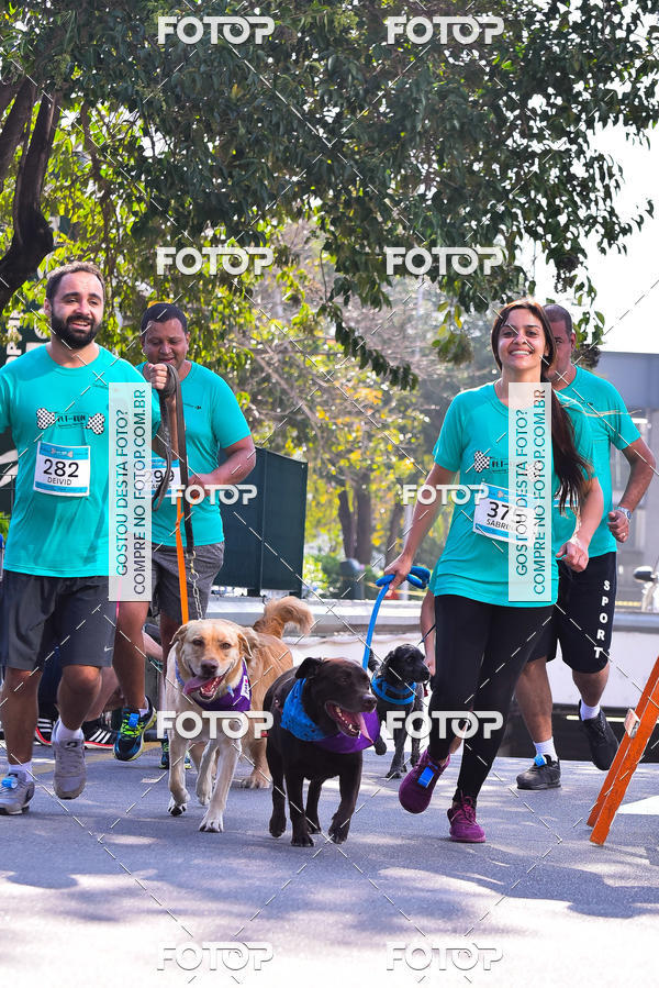 Buy your photos of the event2 Pet Run Shopping Eldorado  on Fotop