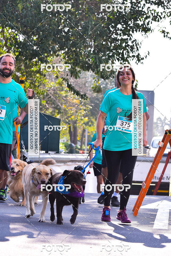 Buy your photos of the event2 Pet Run Shopping Eldorado  on Fotop
