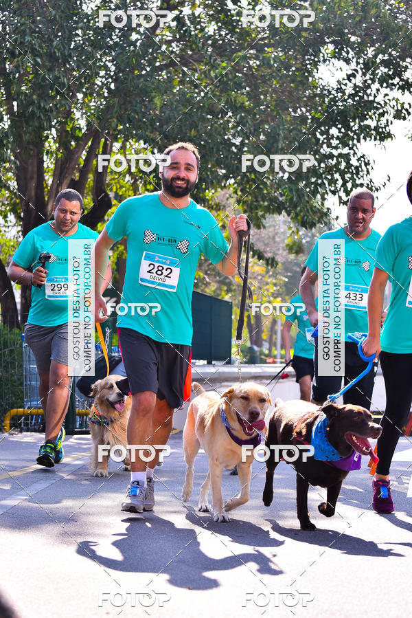 Buy your photos of the event2 Pet Run Shopping Eldorado  on Fotop