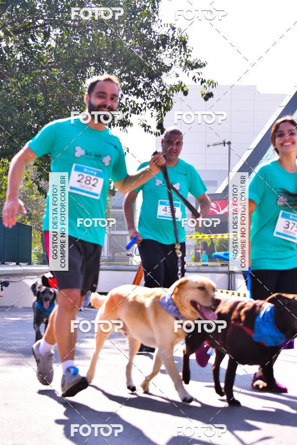 Buy your photos of the event2 Pet Run Shopping Eldorado  on Fotop