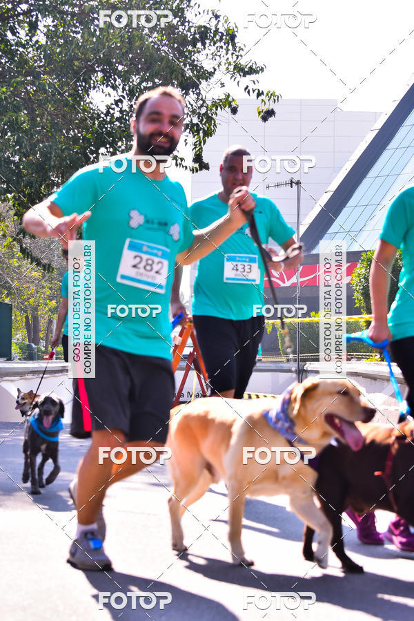 Buy your photos of the event2 Pet Run Shopping Eldorado  on Fotop